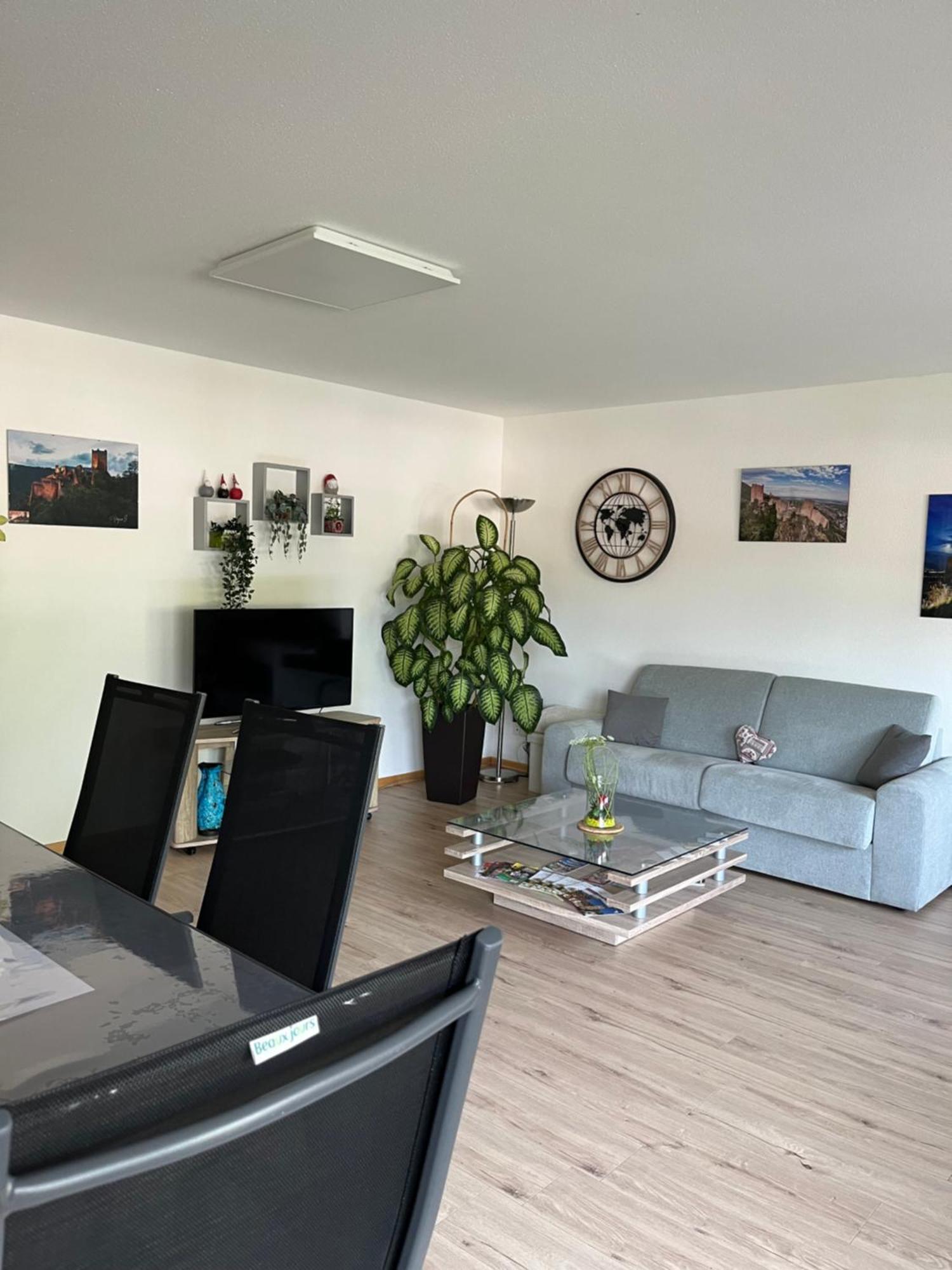L'Aiglon Apartment Ribeauville  Exterior photo