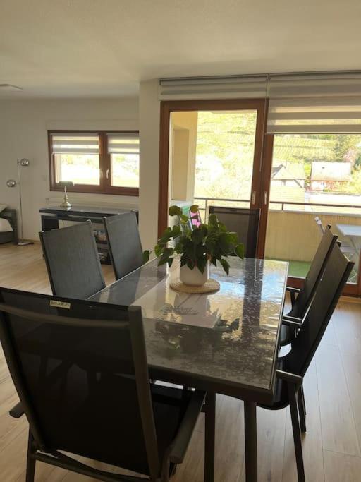 L'Aiglon Apartment Ribeauville  Exterior photo